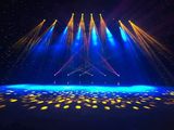 330w BWS Light Effect